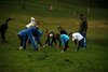 campestrelanzda17012