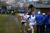 campestrelanzda17274