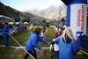 campestrelanzda17036