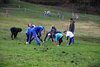 campestrelanzda17013