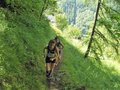 DSCF0106