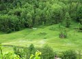DSCF0064