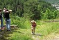 DSCF0263